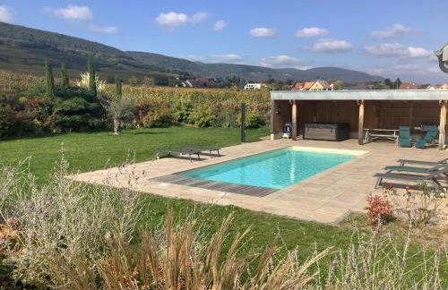 Superbe Maison Jacuzzi+Piscine au cœur des vignes - Foto 6
