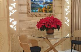 Villa Fortuna - Regionalne apartamenty & SPA - Sauna, Grill, Jacuzzi z widokiem na Tatry - Foto 14