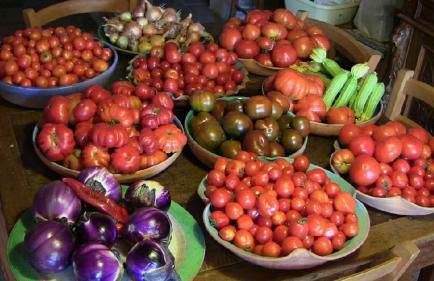 Agriturismo Frallarenza - Foto 47