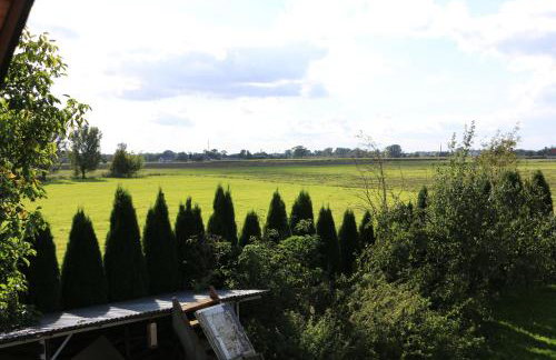 Agroturystyka Żuławiaczek - Foto 18