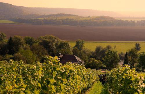 WEINQUARTIER Bad Kösen 65 qm Küche Parkplatz Terrasse Weinbergsblick - Foto 9