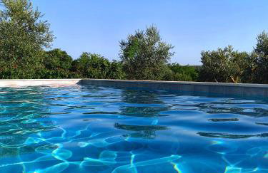 NEW 2023 Villa Tree of Life - Photo 74