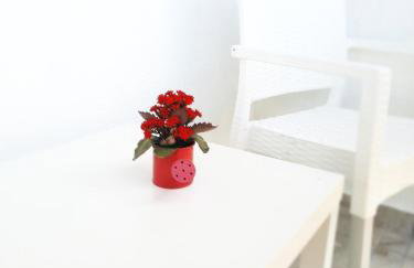 Apartman Peregrinus - Foto 24