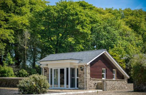 The P19 Sty - 1 Bedroom Studio - Princes Gate - Foto 36