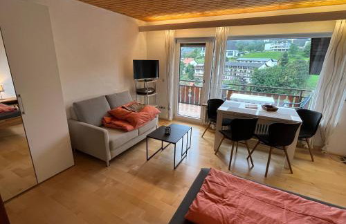 Haus am Sonnenberg, Todtnauberg, Ferienwohnung 204, direkt am Skilift-Skipiste, Nähe Feldberg - Foto 3