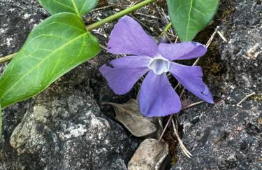 Alcarria , Casa del Agua - Foto 39