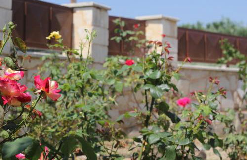 Villa Chara Chania - Photo 46