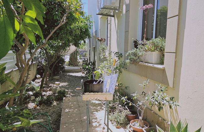 122 VOR - Stay Cactus House - Foto 29