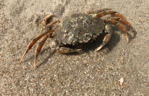 Eschen´s Blick - Foto 62