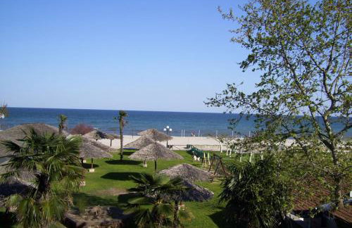 Verginia Studios - Photo 47