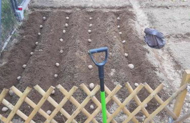 Pauza Drzewoszewo - Dom nad jeziorem - Foto 41