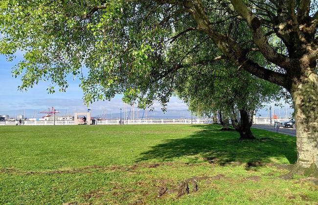 Piso con Piscina y Jardin Cerca de la Playa - Photo 20