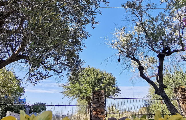 Welcomely - La Casa Di Rita - Sa Capannizza - Photo 29