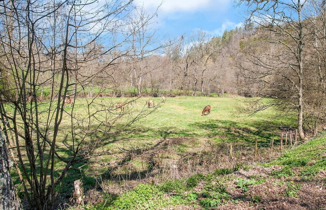 Cozy Country Stay, Stoumont - Photo 33