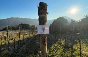 Cà VENDALIS Agriturismo & Cantina - Foto 33