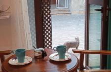 El DETALLE Apartamento y Estudio - Foto 19