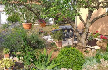 Rural Apartment Ante - Photo 19