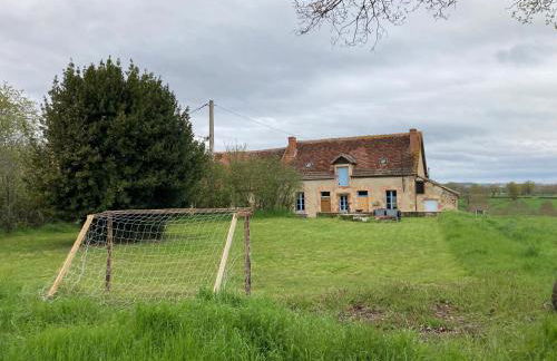 Le Tarde - Crécerelle - Photo 15