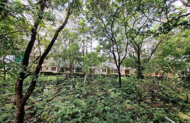 Sereno By Dancenter 1bhk Apartment In Siolim - Photo 28