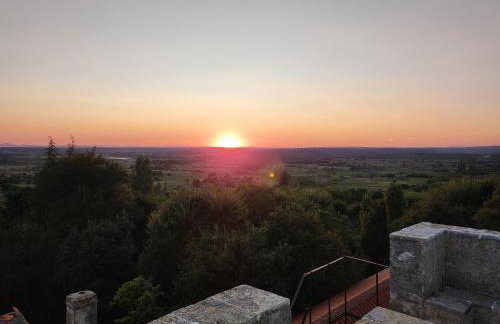 Jankovich Castle - Photo 26