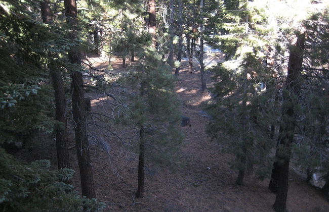 Mammoth View Villas Mammoth Reservation Bureau - Foto 29