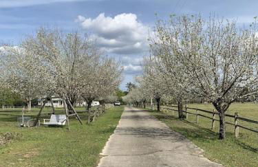 DoubleAcres - Foto 68