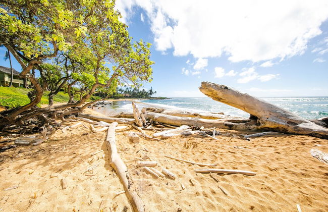 Kauai Hale Awapuhi By Coldwell Banker Island Vacations - Foto 51