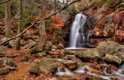 A Place to Escape 5 minutes from Downtown Newly Renovated - Foto 32