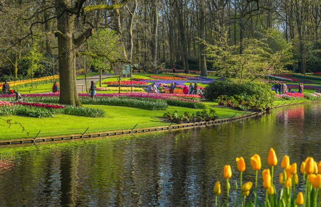 Entradas para Keukenhof - Photo 11