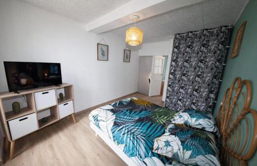 Gîte La Foresienne - Foto 6