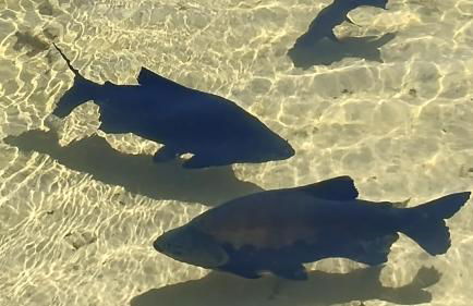 Casa lagoa dos tambaquis - Photo 20