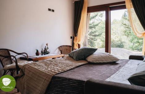 Villa Cerfoglio, pace sulle colline romagnole - Foto 8