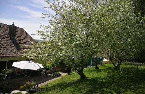 Ferienwohnung am Kirnbergsee - Photo 13