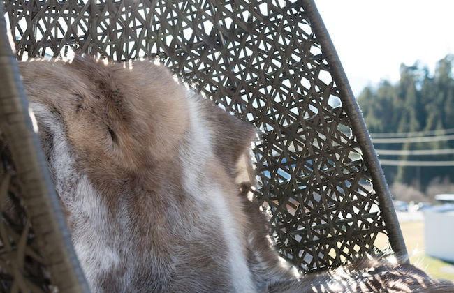 Peaks Place - Foto 14