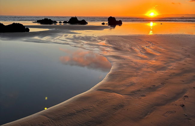 Sumner Bay Motel & Apartments - Foto 57