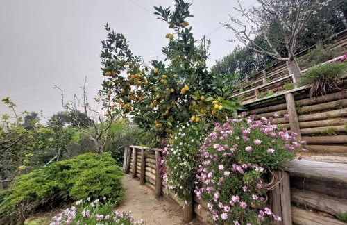 Casa Rio Zêzere - Foto 43