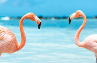 Luxury Villa with pool 1st line the sea - Foto 24