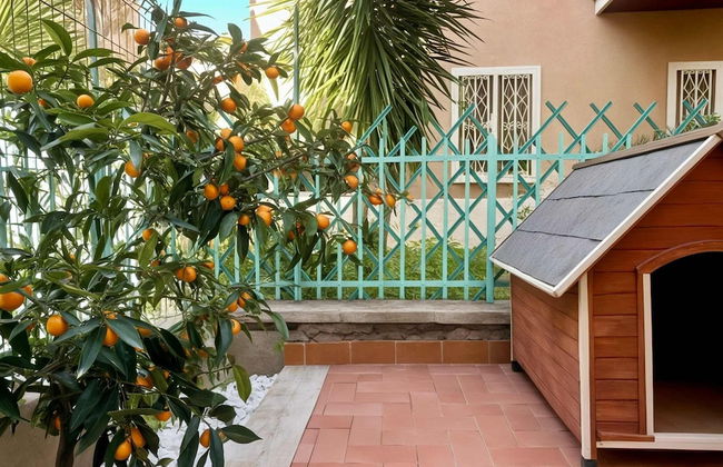 Casa Maria in Roma With 1 Bedrooms and 1 Bathrooms - Foto 11