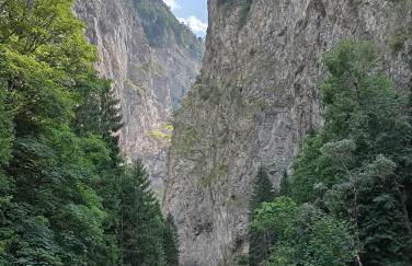 La Maisonnette - Foto 21