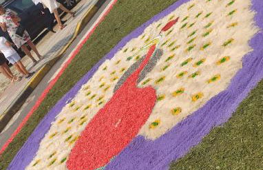 Foz, ven y disfruta Galicia - Foto 38