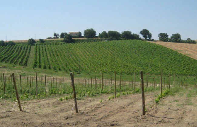 I Tre Filari - Foto 21