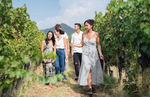 Agriturismo Tra gli Ulivi, Chiappini Winery - Photo 75