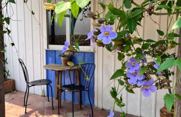 Giardino di Sicilia - Foto 23