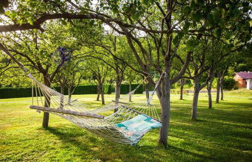 Cozy Home In Prokike With Sauna - Foto 17