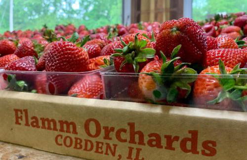 Luxury 4BR Log Cabin Near SIU & Wine Trail - Foto 46