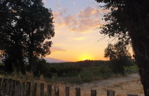 Campagna D'aMare - Foto 26