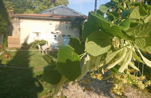 Entire apartment with swimming pool near Aubeterre - Foto 8