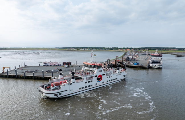 Thatched Holiday Home With two Bathrooms Near the Sea - Foto 34