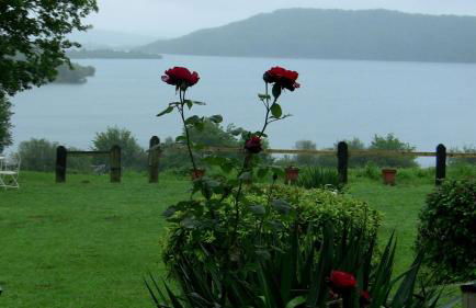 Agroturismo Atxarmin - Foto 6