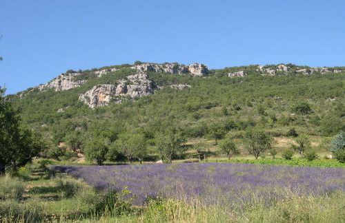 Domaine de bois joli - Foto 64